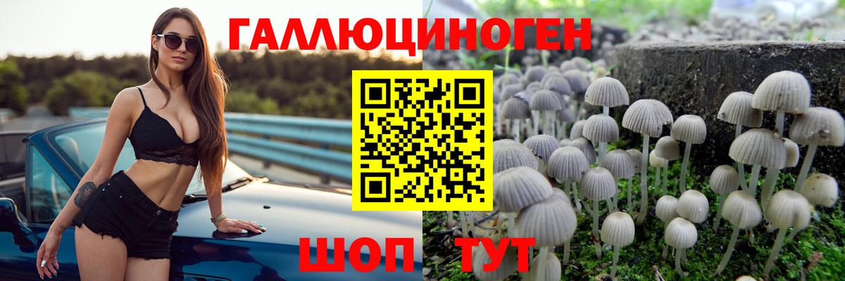 Псилоцибиновые грибы ЛСД  Вход с VPN  закладки  Ачхой-Мартан 