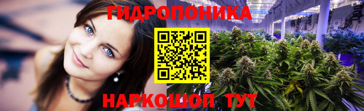 Канабис план  Шишки марихуана планчик  Вход с VPN  Ачхой-Мартан  Бошки марихуана Amnesia  Марихуана индика 
